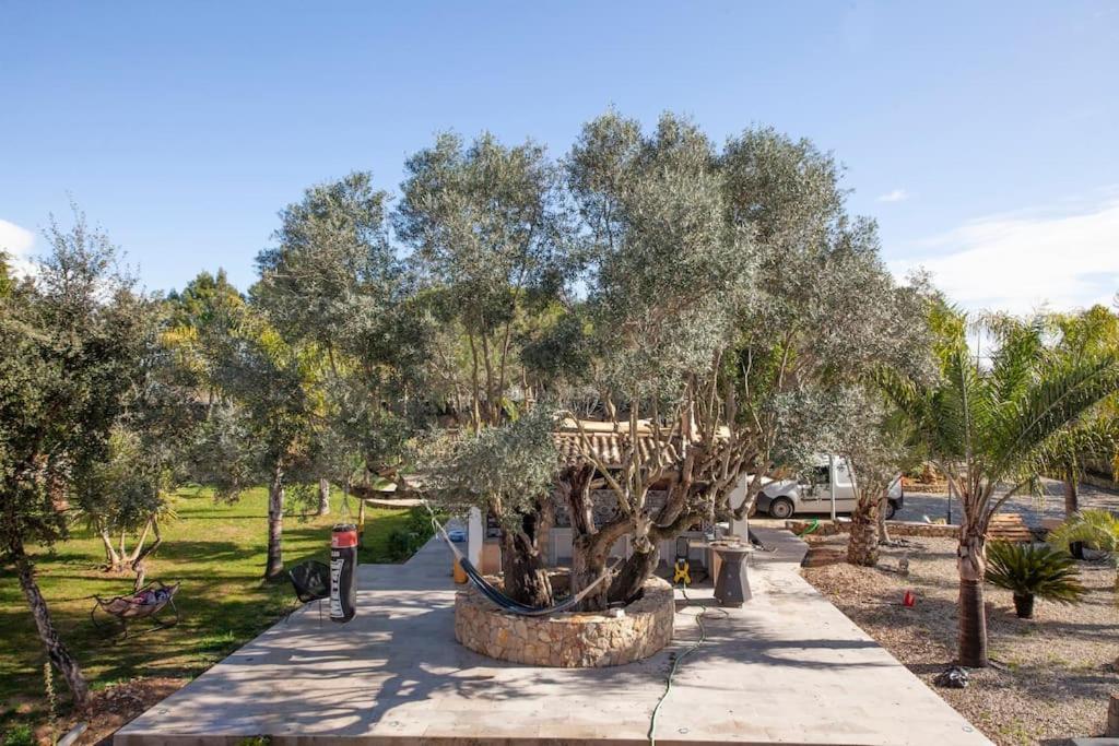 Casa Petit Paraiso Lagoa  Eksteriør billede